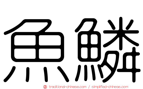 魚鱗