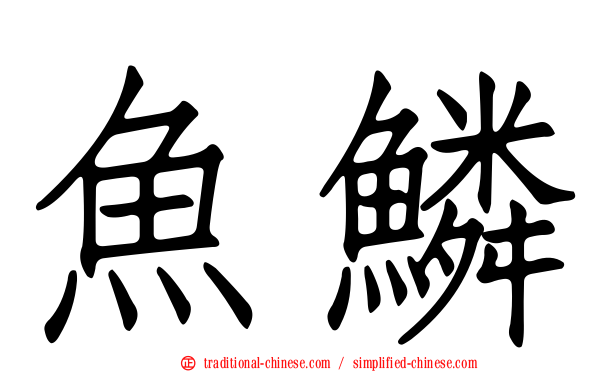 魚鱗