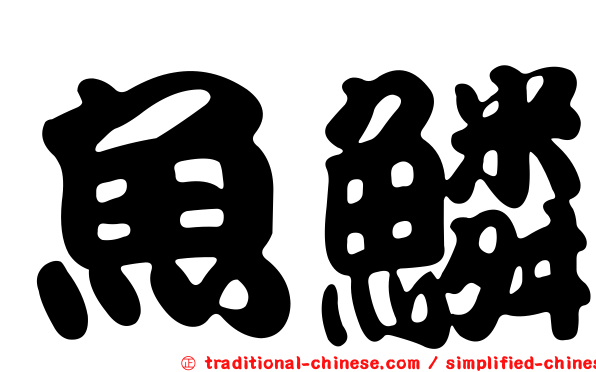 魚鱗