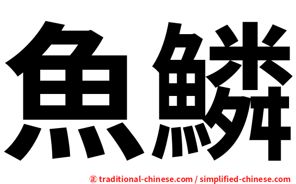 魚鱗