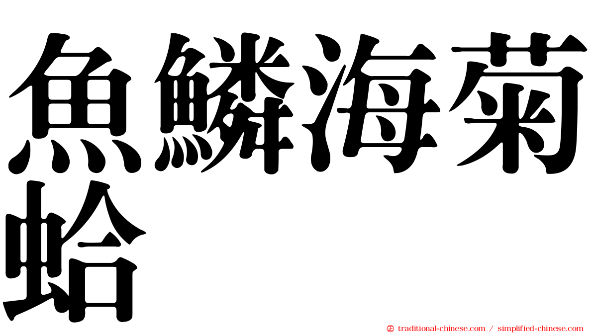 魚鱗海菊蛤