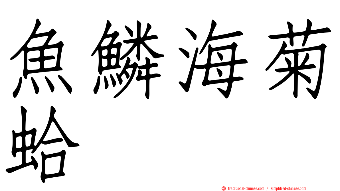 魚鱗海菊蛤