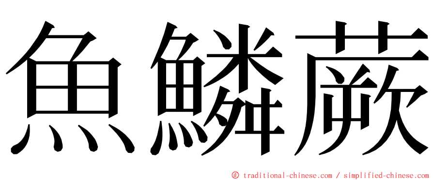 魚鱗蕨 ming font