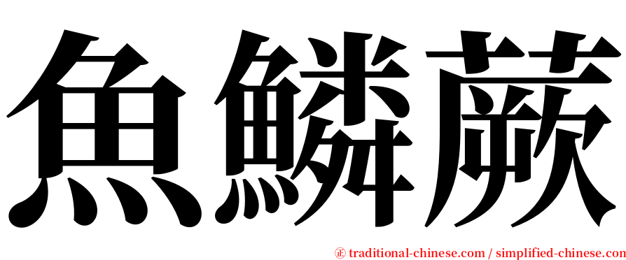 魚鱗蕨 serif font