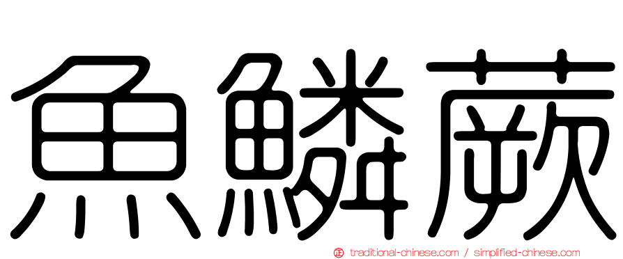 魚鱗蕨