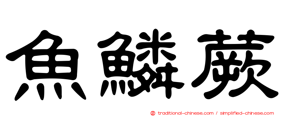 魚鱗蕨