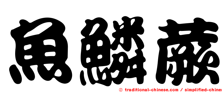 魚鱗蕨