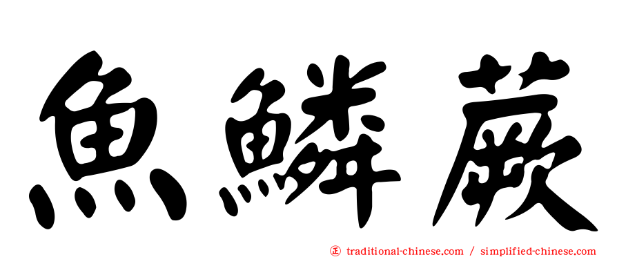 魚鱗蕨