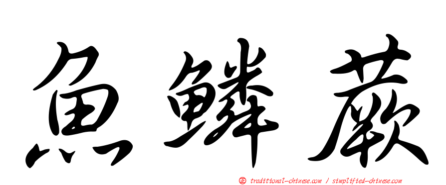 魚鱗蕨