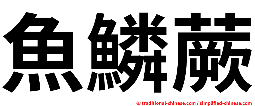 魚鱗蕨