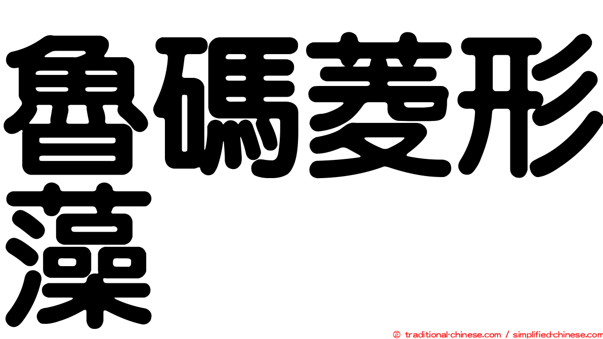 魯碼菱形藻