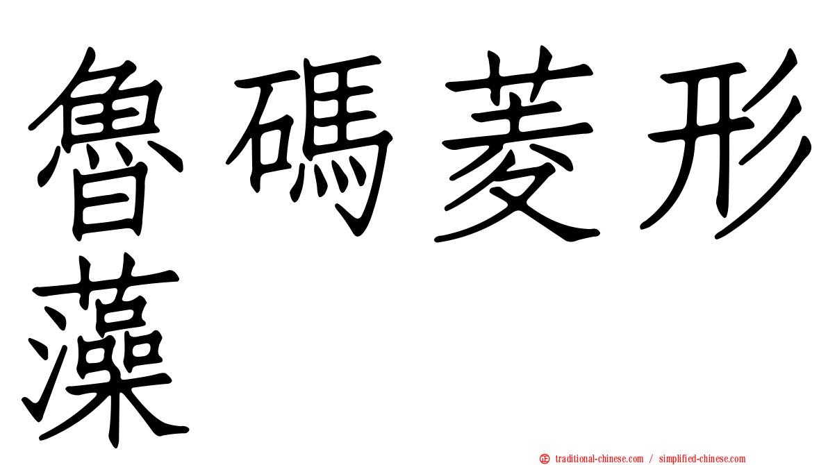 魯碼菱形藻