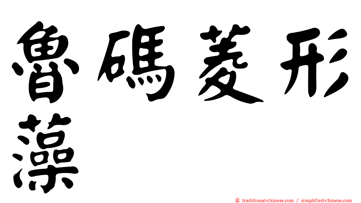 魯碼菱形藻
