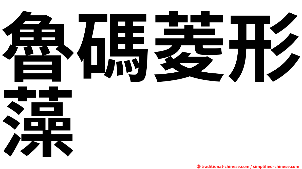 魯碼菱形藻