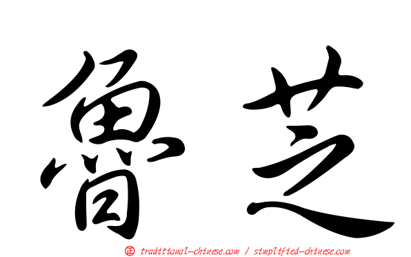 魯芝
