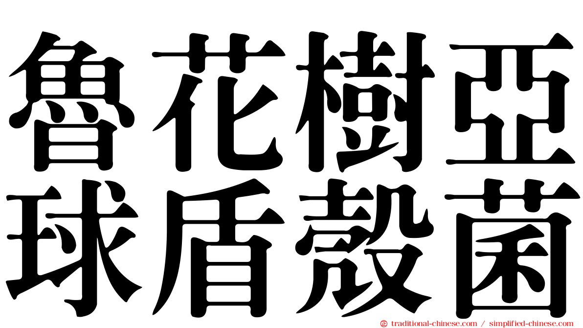 魯花樹亞球盾殼菌