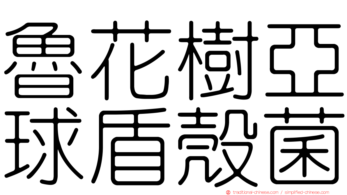 魯花樹亞球盾殼菌