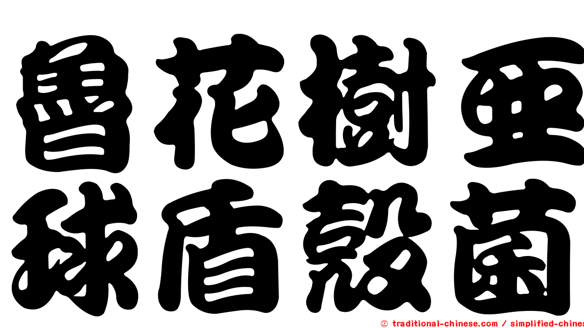 魯花樹亞球盾殼菌