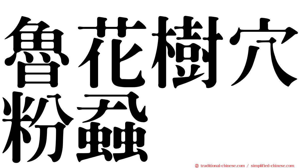 魯花樹穴粉蝨