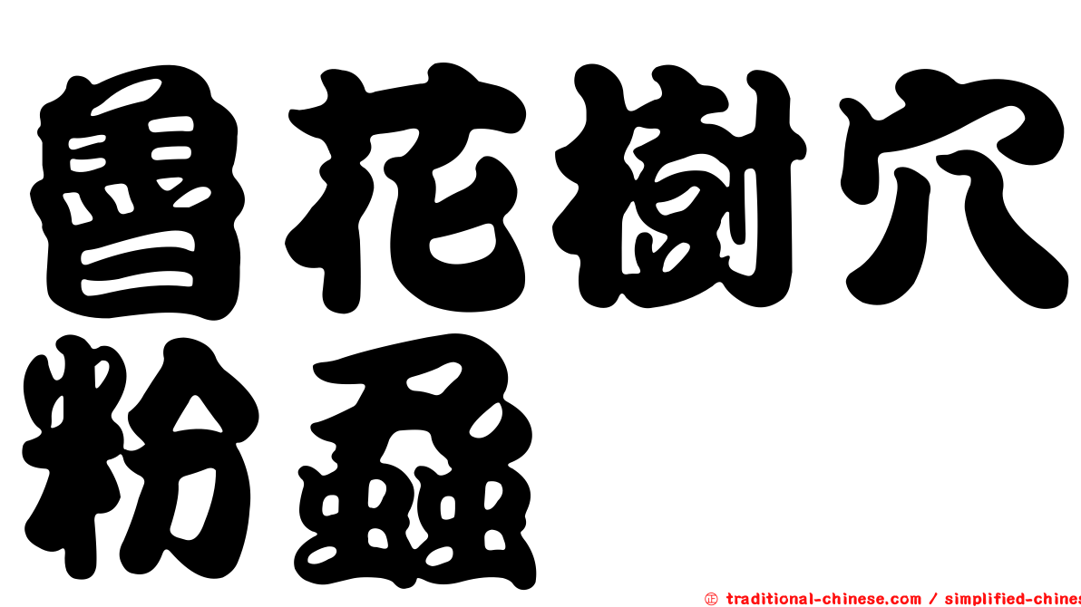 魯花樹穴粉蝨