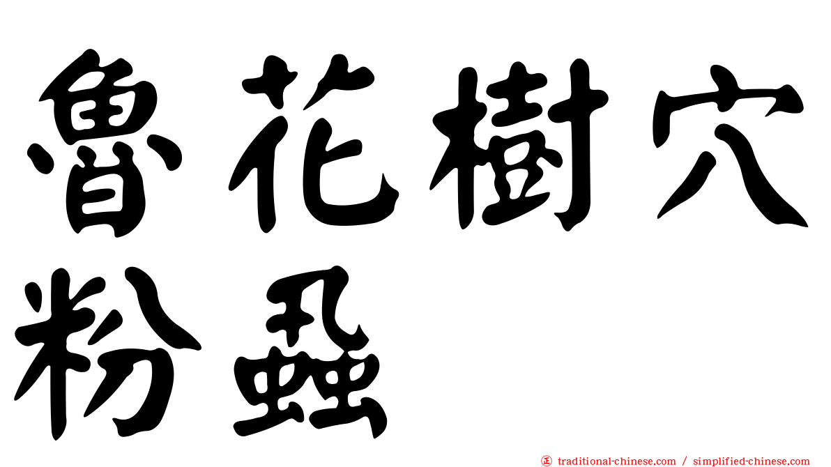 魯花樹穴粉蝨