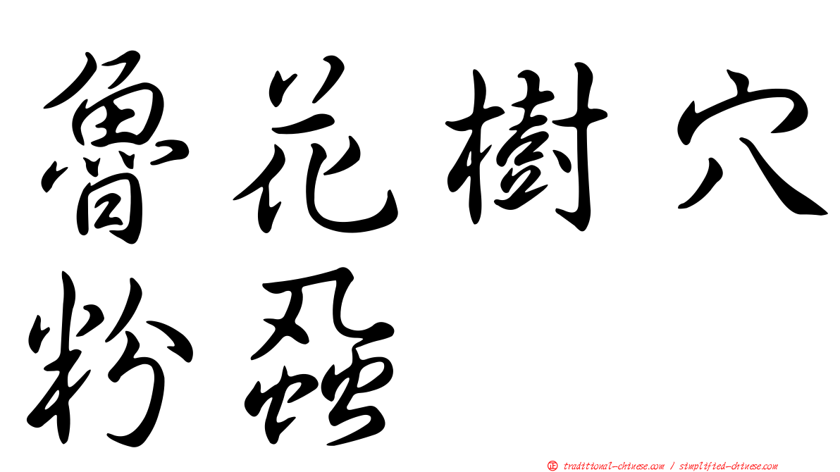 魯花樹穴粉蝨
