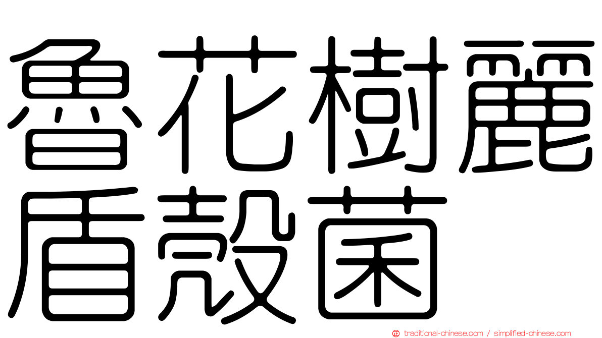 魯花樹麗盾殼菌