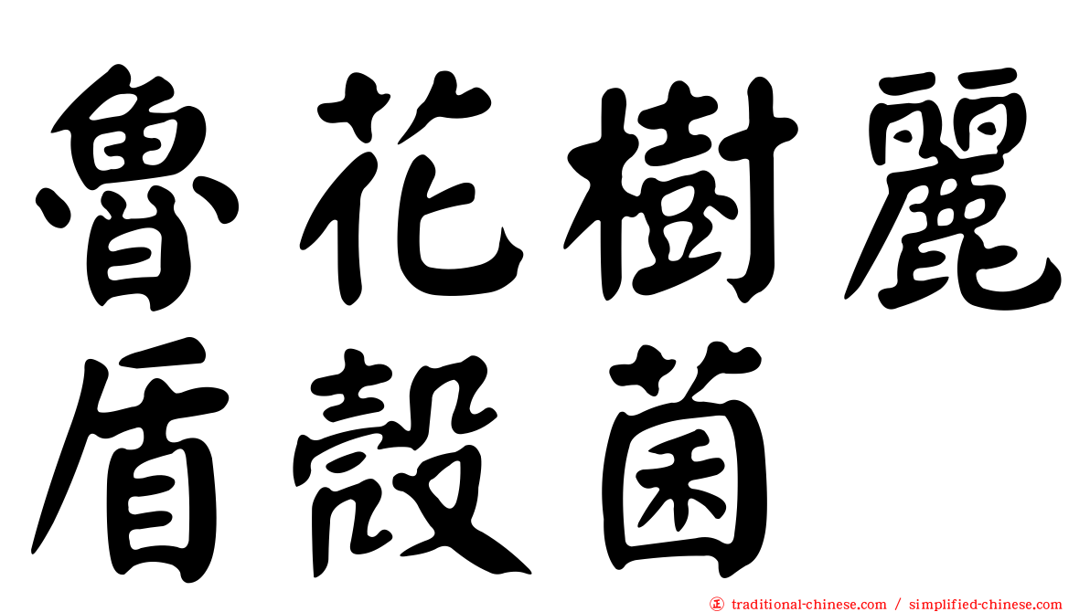 魯花樹麗盾殼菌