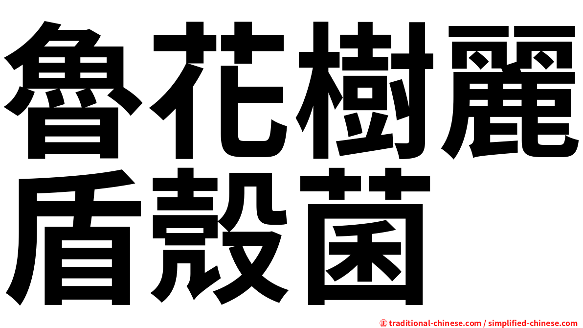 魯花樹麗盾殼菌
