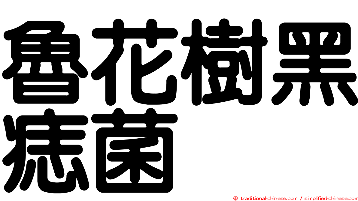 魯花樹黑痣菌