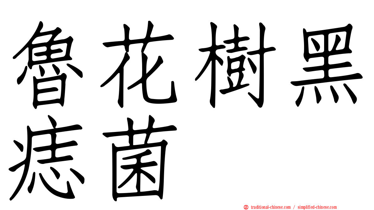 魯花樹黑痣菌