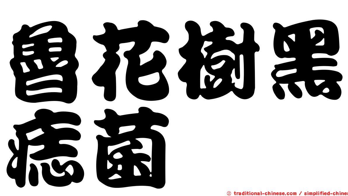 魯花樹黑痣菌