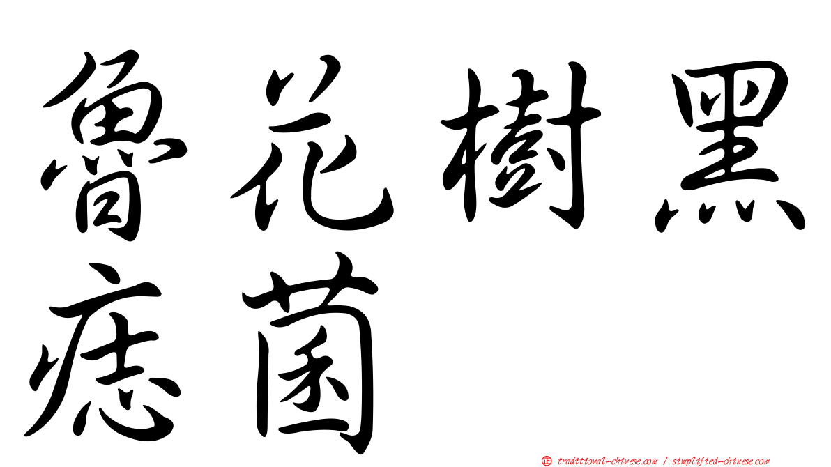 魯花樹黑痣菌