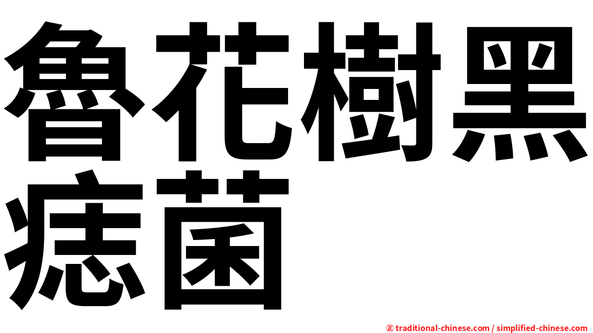 魯花樹黑痣菌
