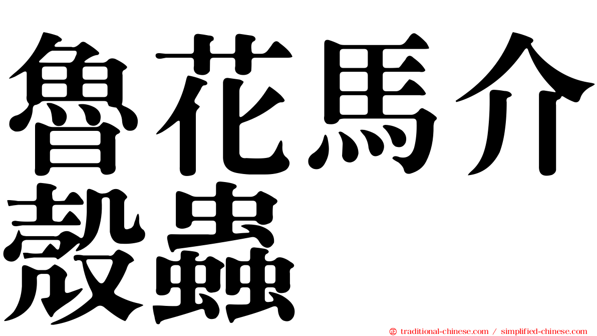 魯花馬介殼蟲
