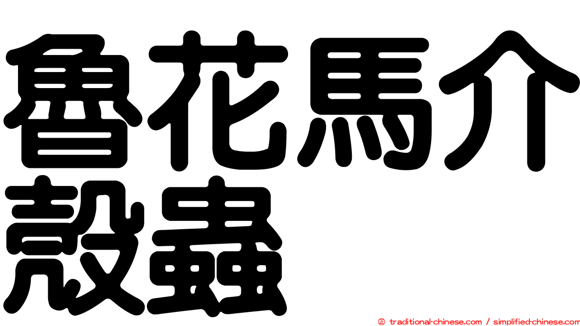魯花馬介殼蟲