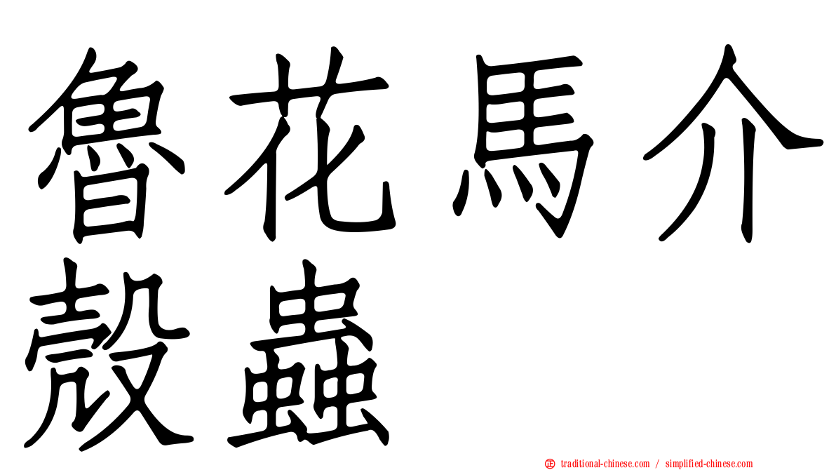 魯花馬介殼蟲