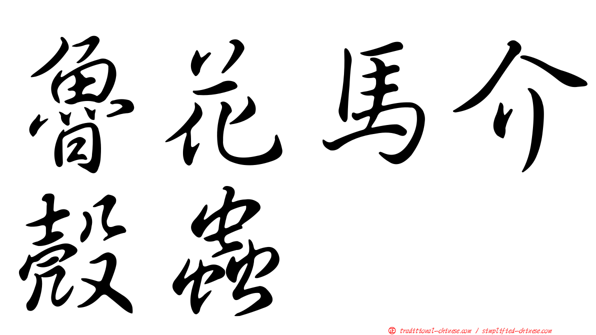 魯花馬介殼蟲