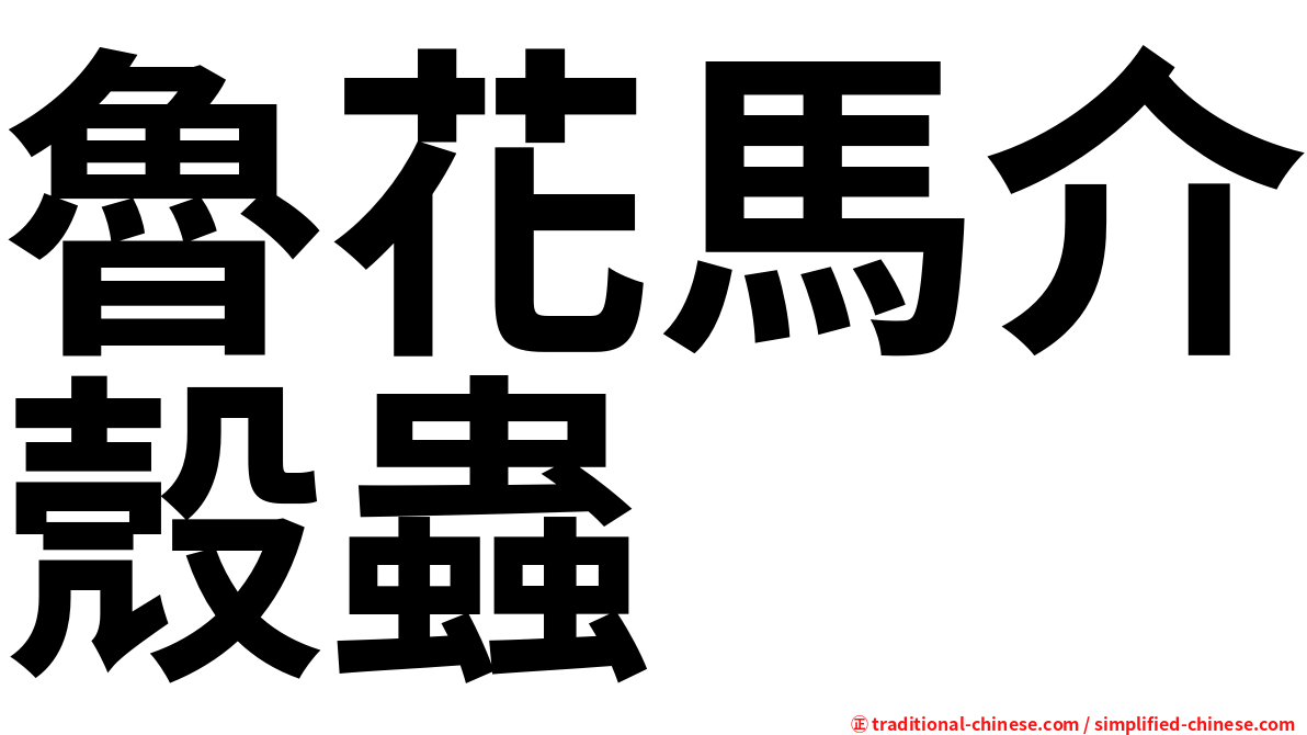 魯花馬介殼蟲