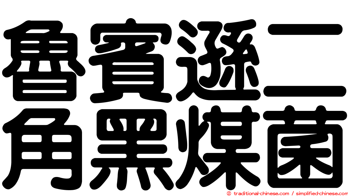 魯賓遜二角黑煤菌