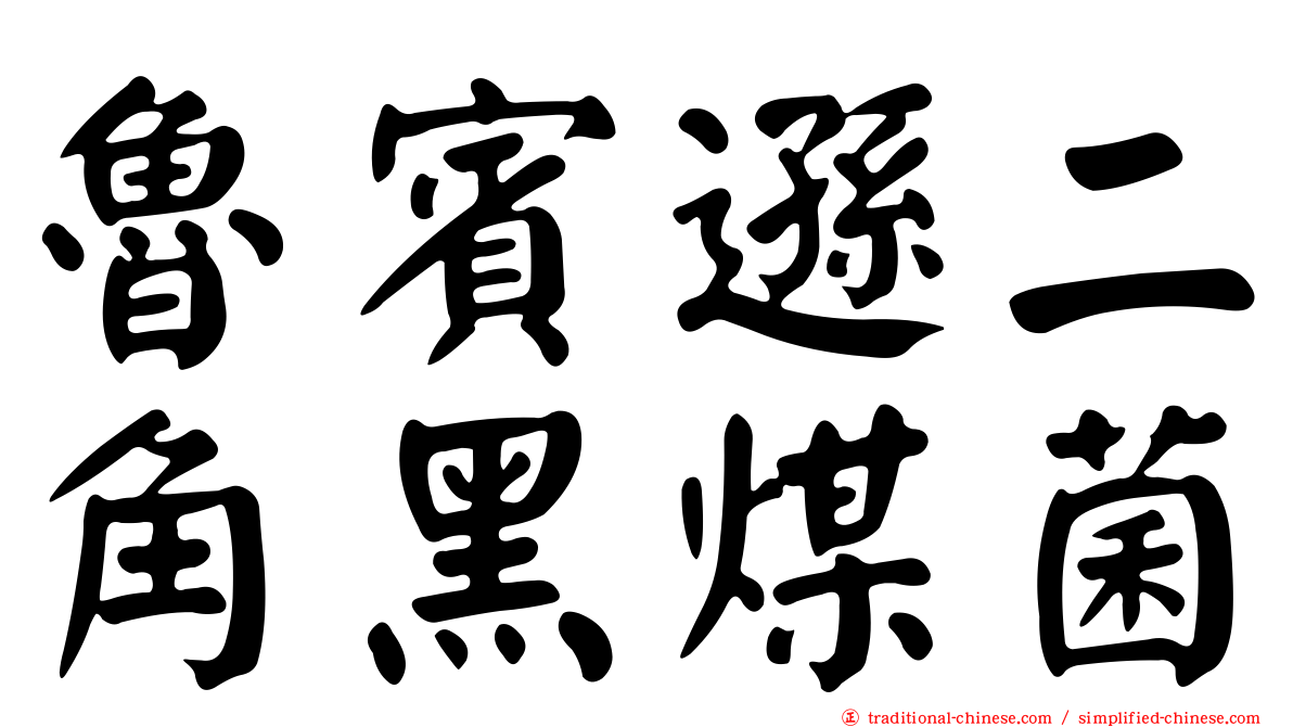魯賓遜二角黑煤菌