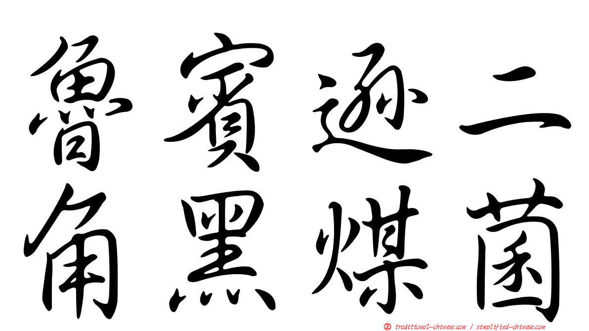 魯賓遜二角黑煤菌
