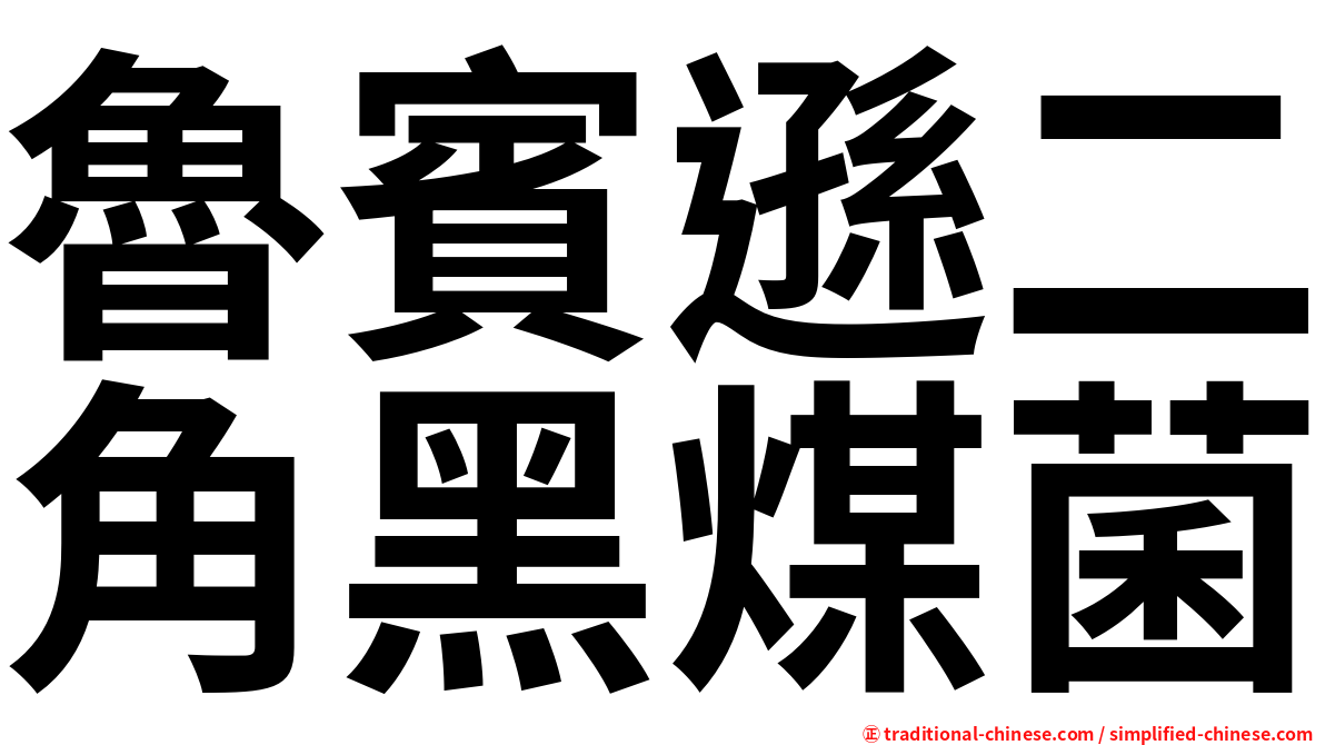 魯賓遜二角黑煤菌