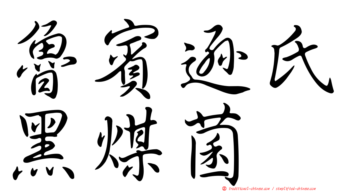 魯賓遜氏黑煤菌