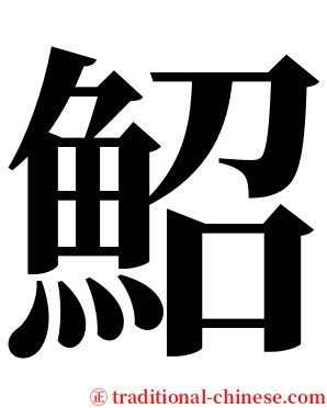 鮉 serif font
