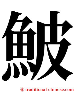 鮍 serif font