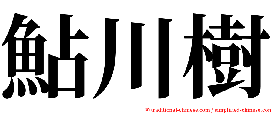 鮎川樹 serif font