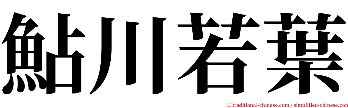 鮎川若葉 serif font