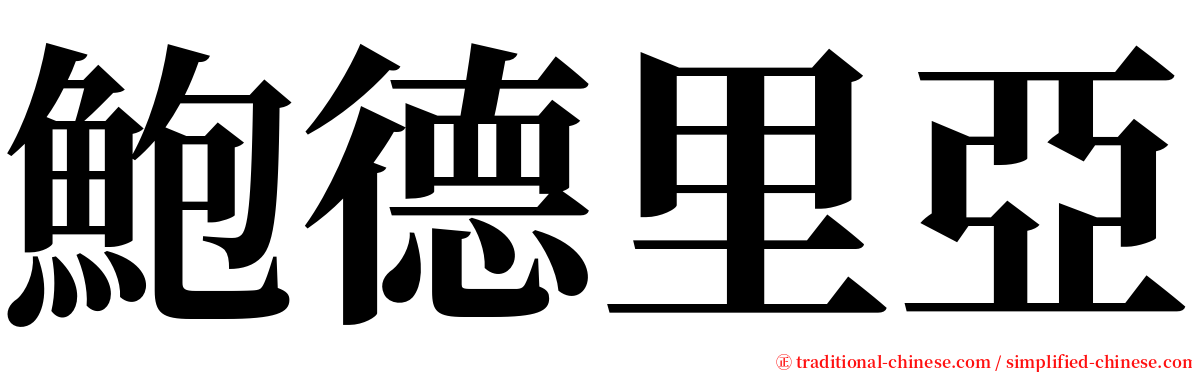鮑德里亞 serif font
