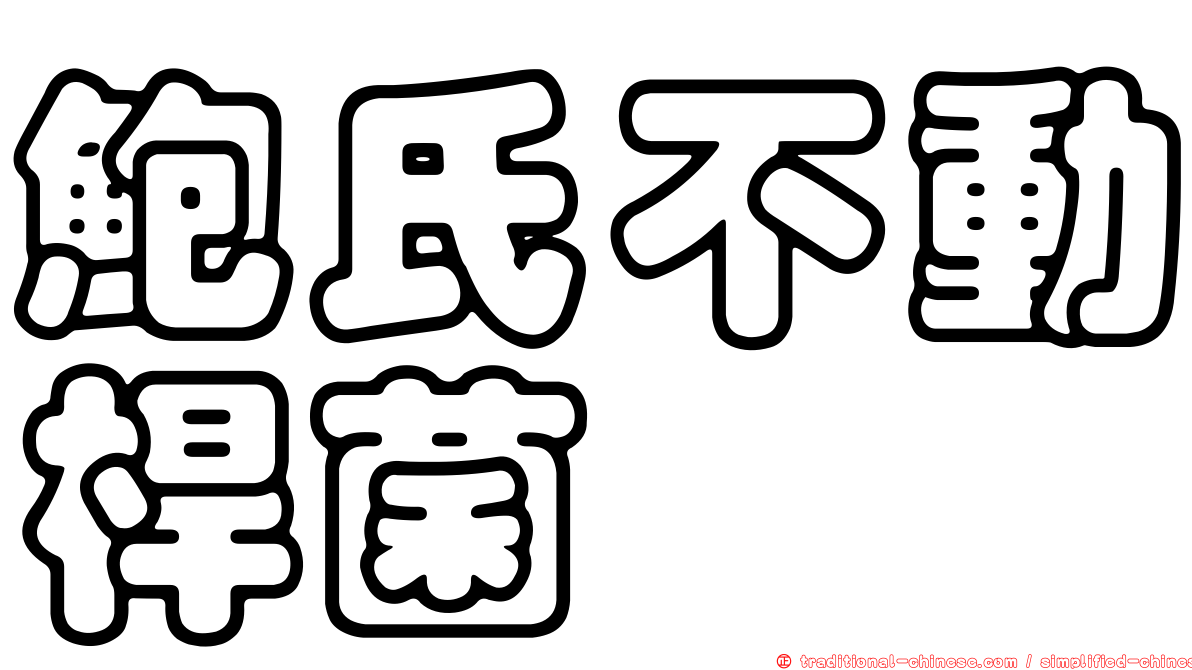 鮑氏不動桿菌